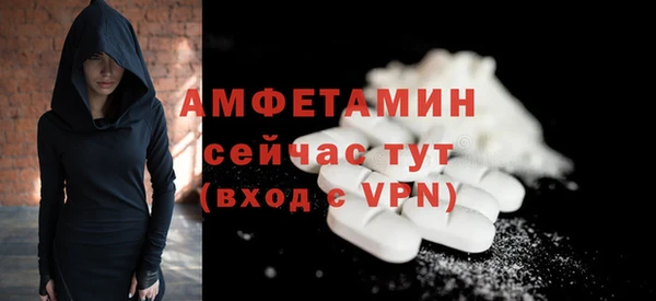 прущие грибы Балабаново