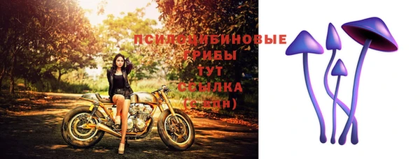 прущие грибы Балабаново