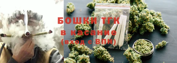 прущие грибы Балабаново