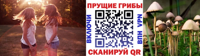 kraken как войти  Козьмодемьянск  Галлюциногенные грибы мухоморы 
